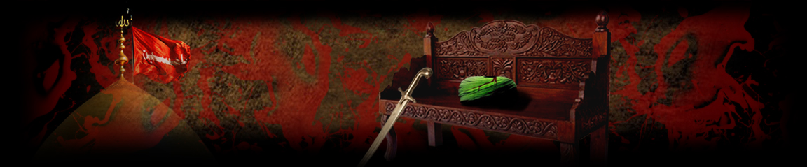 insaaniat.org